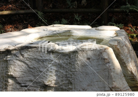 偕楽園の吐玉泉 偕楽園の吐玉泉 89125980