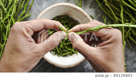 cutting some wild asparagus, web banner cutting some wild asparagus, web banner 89126805