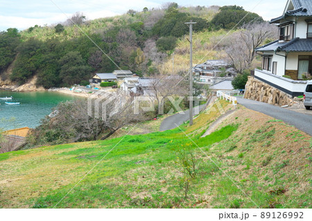 椿の島・大飛島最大集落の尻替地区5 岡山県笠岡市 椿の島・大飛島最大集落の尻替地区5 岡山県笠岡市 89126992