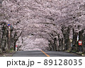 伊豆高原桜並木2022年 89128035