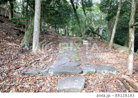 龍野城 龍野城 89128183