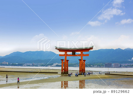 広島県宮島 大潮の厳島神社大鳥居 広島県宮島 大潮の厳島神社大鳥居 89129662
