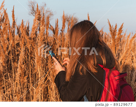 Pretty young woman in black coat with backpack smartphone on pampas grass sunset sky dry reeds Millennial long hair girl Pretty young woman in black coat with backpack smartphone on pampas grass sunset sky dry reeds Millennial long hair girl 89129677