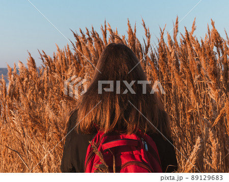 Pretty millennial girl with long fair hair on dry reed pampas grass background Young woman with natural brown hair color Pretty millennial girl with long fair hair on dry reed pampas grass background Young woman with natural brown hair color 89129683
