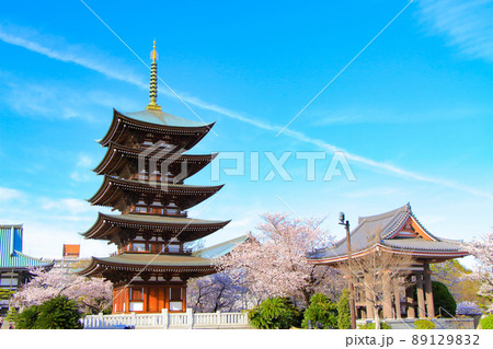 名古屋市、日泰寺五重塔と桜の風景 名古屋市、日泰寺五重塔と桜の風景 89129832
