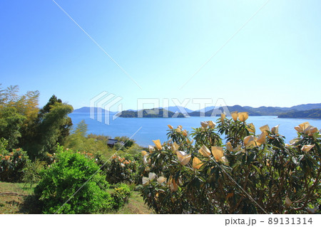 春の大芝島から見る瀬戸内風景 春の大芝島から見る瀬戸内風景 89131314