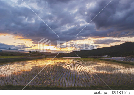 200601上野夕景dt004 200601上野夕景dt004 89131617