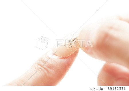 ネイルチップ 89132531