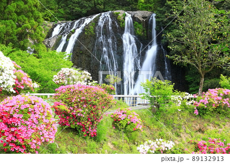【鹿児島県】龍門滝と躑躅（日本の滝百選） 89132913
