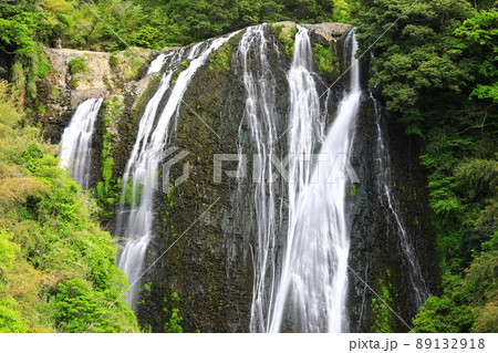 【鹿児島県】新緑の龍門滝(日本の滝百選) 【鹿児島県】新緑の龍門滝(日本の滝百選) 89132918