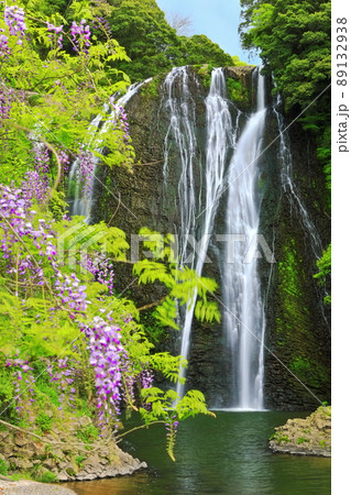 【鹿児島県】龍門滝と藤（日本の滝百選） 89132938