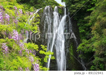 【宮崎県】龍門滝と藤(日本の滝百選) 【宮崎県】龍門滝と藤(日本の滝百選) 89132941