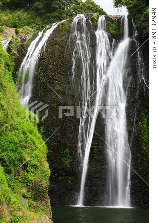 【鹿児島県】新緑の龍門滝（日本の滝百選） 89132949