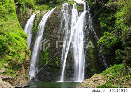 【宮崎県】新緑の龍門滝（日本の滝百選） 89132956