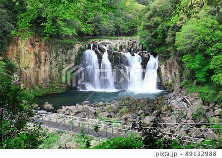 【宮崎県】新緑の関之尾滝(日本の滝百選) 【宮崎県】新緑の関之尾滝(日本の滝百選) 89132988