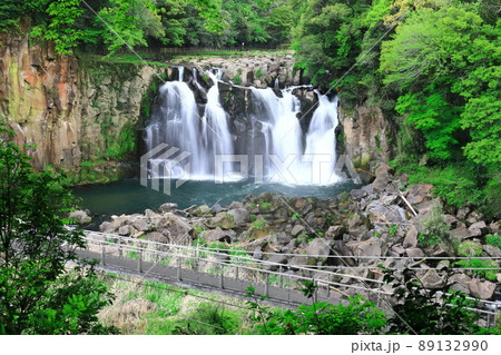 【宮崎県】新緑の関之尾滝（日本の滝百選） 89132990