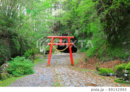 【鹿児島県】溝ノ口洞穴（日本百名洞） 89132993