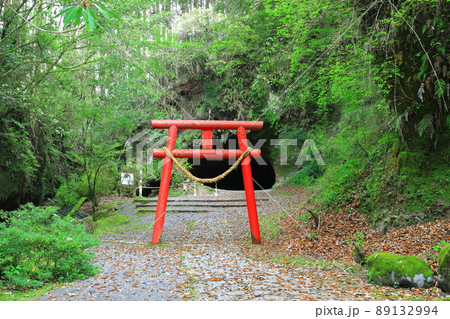【鹿児島県】溝ノ口洞穴（日本百名洞） 89132994