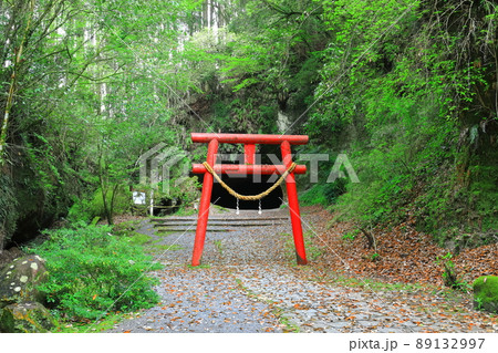 【鹿児島県】溝ノ口洞穴(日本百名洞) 【鹿児島県】溝ノ口洞穴(日本百名洞) 89132997