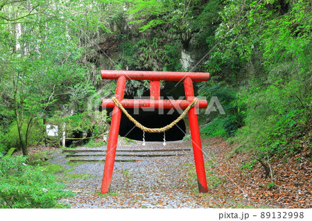 【鹿児島県】溝ノ口洞穴(日本百名洞) 【鹿児島県】溝ノ口洞穴(日本百名洞) 89132998