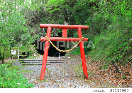 【鹿児島県】溝ノ口洞穴(日本百名洞) 【鹿児島県】溝ノ口洞穴(日本百名洞) 89132999