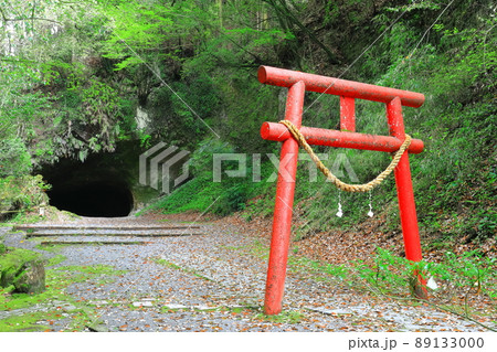 【鹿児島県】溝ノ口洞穴(日本百名洞) 【鹿児島県】溝ノ口洞穴(日本百名洞) 89133000