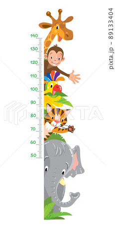 Giraffe Monkey Tiger Meter Wall Or Height Chartのイラスト素材