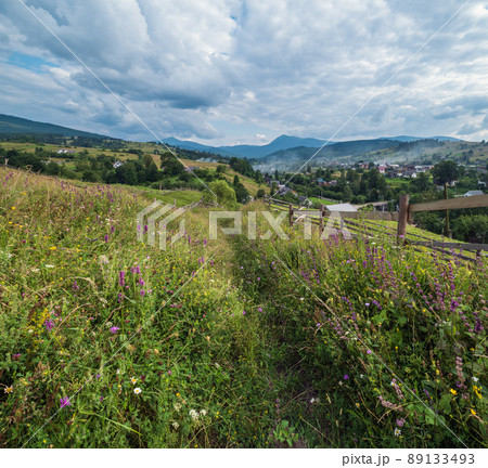 Carpathian mountain countryside summer meadows with beautiful wild flowers Carpathian mountain countryside summer meadows with beautiful wild flowers 89133493