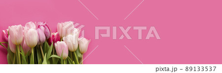 Tulips banner. Bouquet of fresh tulips on a gentle background. Women's day celebration, concept with copy space 89133537