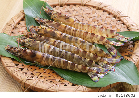 クルマエビ クルマエビ 89133602