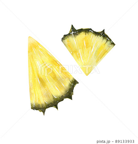 Watercolor illustration of hand-drawn fruits isolated pineapple Watercolor illustration of hand-drawn fruits isolated pineapple 89133933