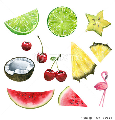 Watercolor illustration of hand-drawn fruits and berries. Watercolor illustration of hand-drawn fruits and berries. 89133934