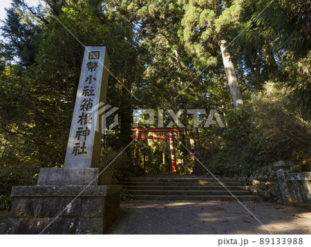 箱根神社 参道 / Hakone Shrine, Japan 箱根神社 参道 / Hakone Shrine, Japan 89133988