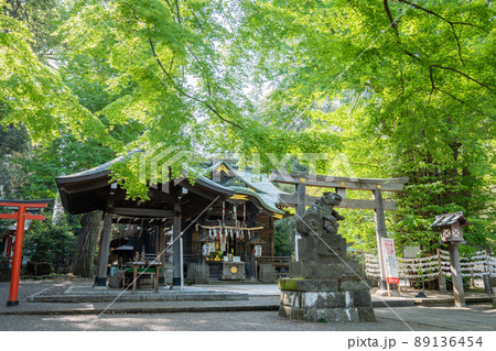 杵築神社の風景<東京都武蔵野市/4月> 杵築神社の風景<東京都武蔵野市/4月> 89136454