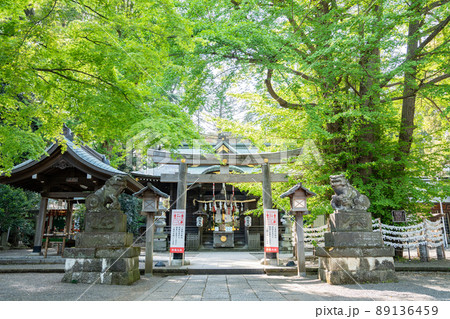 杵築神社の風景＜東京都武蔵野市/4月＞ 89136459