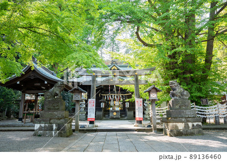 杵築神社の風景＜東京都武蔵野市/4月＞ 89136460