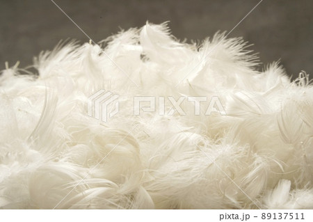 水鳥のふっくらしたフェザー 89137511