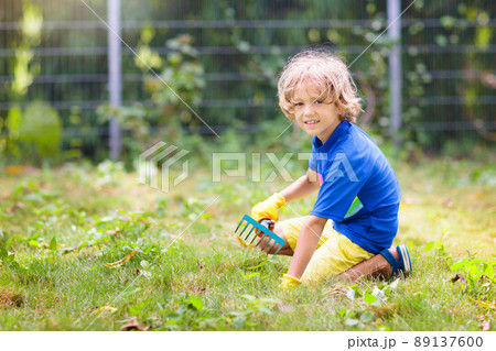 Child pulling weeds in summer garden. Child pulling weeds in summer garden. 89137600