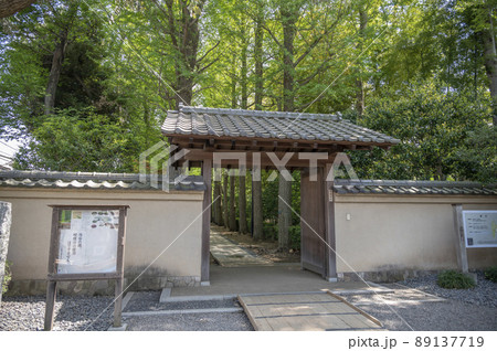 春新緑の大田黒公園 89137719