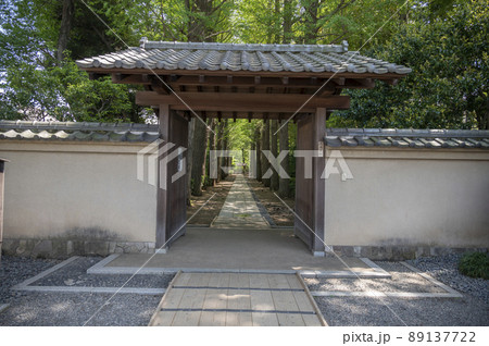 春新緑の大田黒公園 89137722