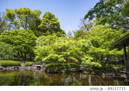 春新緑の大田黒公園 89137725