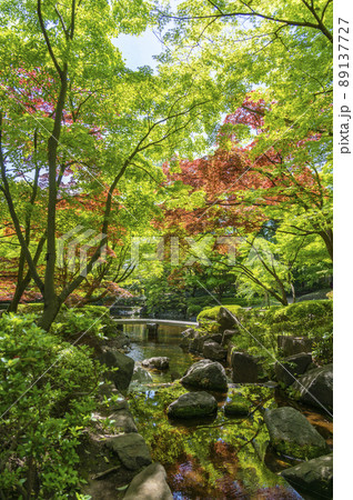 春新緑の大田黒公園 89137727