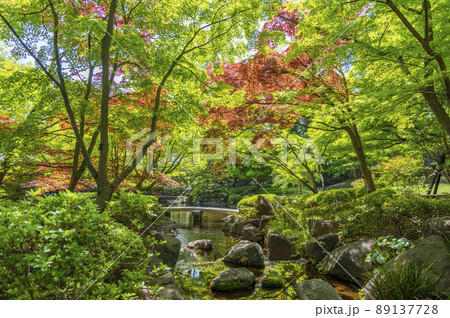 春新緑の大田黒公園 89137728