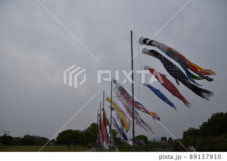 こいのぼりのが風に泳ぐ 89137910