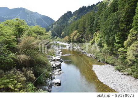 新緑が輝くせせらぎ 89138073