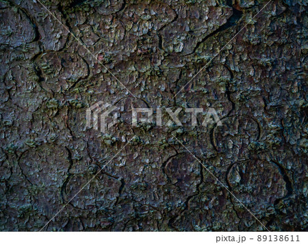 Colorful saturated bark of wood. The woody texture 89138611