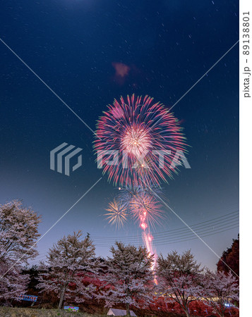 埼玉県東秩父村虎山の千本桜でのサプライズ花火大会 89138801