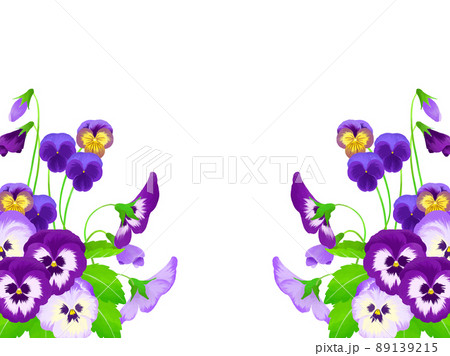 手描きのパンジーとビオラのイラスト背景のイラスト素材
