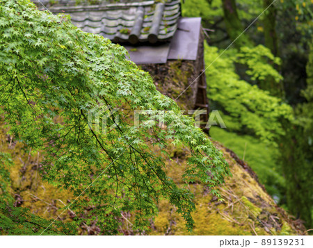 青紅葉と茅葺き屋根 89139231