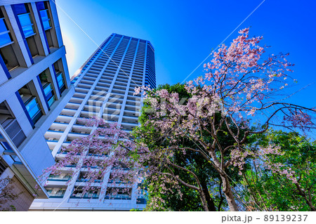 東京 港区白金の都市風景 白金タワー 東京 港区白金の都市風景 白金タワー 89139237